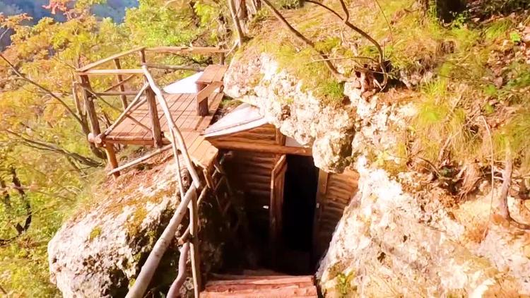 手機上荒野生存攻略