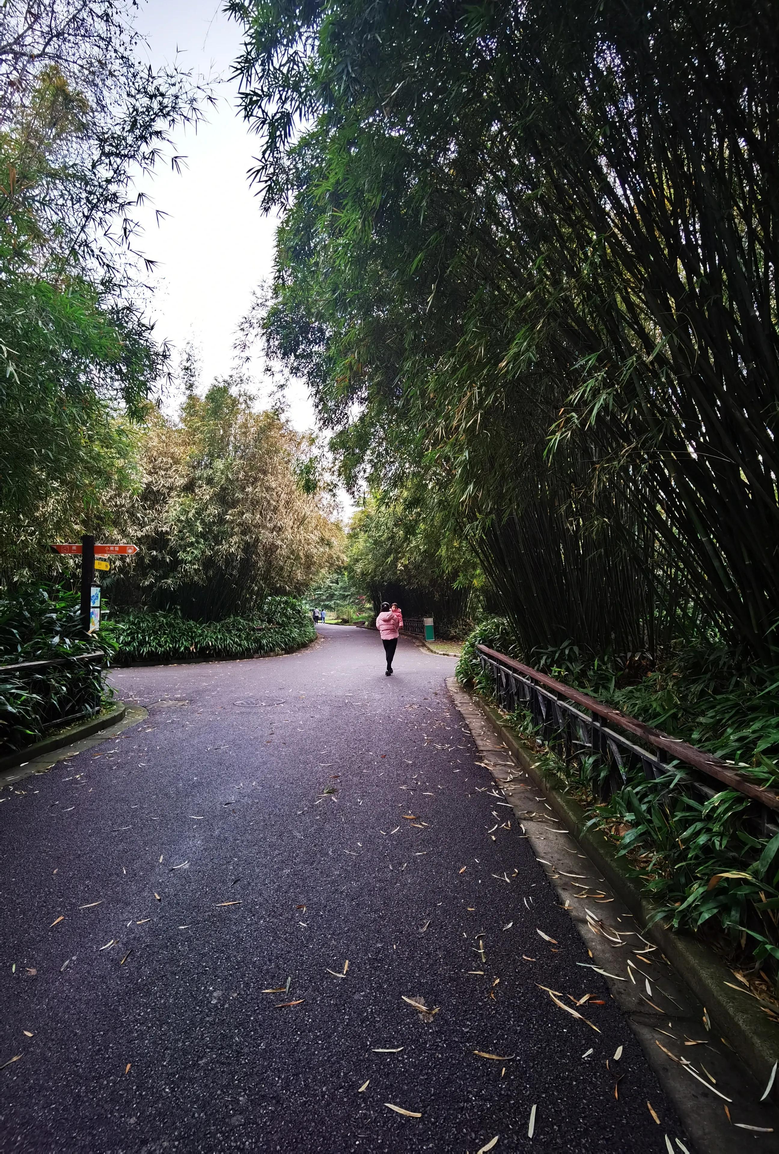 男友總愛玩游戲，這樣做，建議收藏