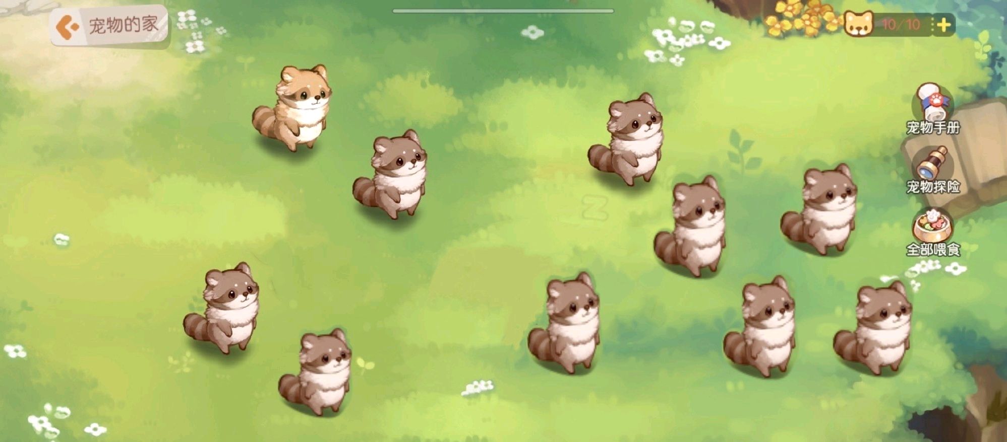 奧比島游戲是什么時候出的_奧比島是什么游戲_奧比島游戲是哪個國家